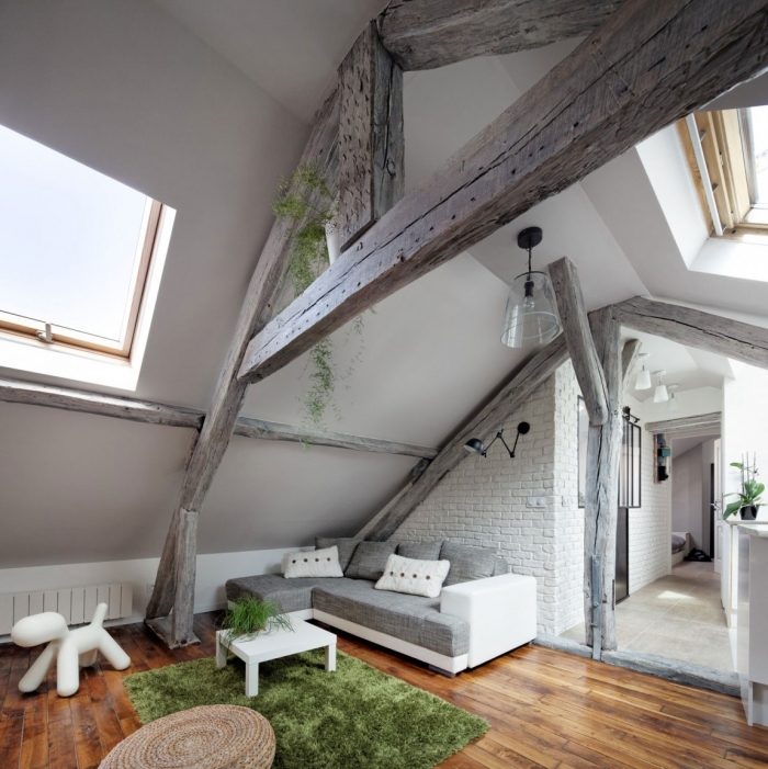 attic in france
